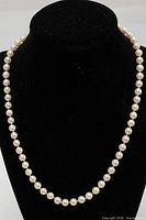 Full view of pearl necklace displayed on bust