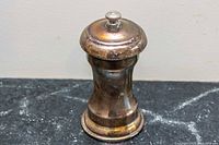 Front view of silver-plated pepper grinder