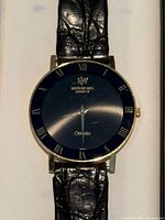 Watch face showing brand, model, dial and strap detail