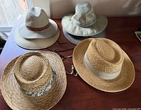 Top view showing all five hats on table
