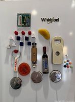 Front view showing all twenty-nine assorted magnets on refrigerator door