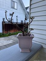 Front view of pink ceramic pedestal planter with succulent