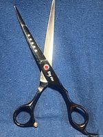 Shears fully open showing star motif, black handles and gold screw