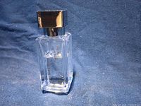 Full view of perfume bottle standing upright displaying brand, fragrance name and cap