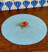Full view of beetle jewellery piece on blue surface