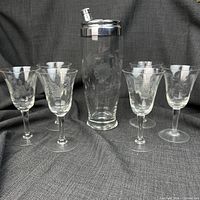 Full set: tall shaker centered, six glasses arranged around, showing overall design