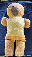 Full front view of entire teddy bear showing body colors and limb condition