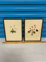 Both framed prints side by side with ruler