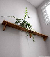Full view of long wooden shelf mounted high on wall