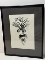 Framed black-and-white floral print full view