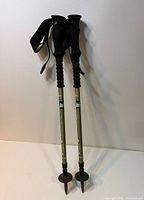 Full view of both REI Ultralite trekking poles standing upright