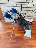 Full view of stand bag and clubs