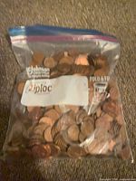 Front view of Ziploc bag filled with pennies