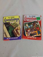 Front covers of both Goosebumps paperbacks showing titles and wear