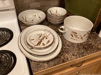 Group view of casserole, bowls, plates displayed on countertop