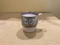 Front view of Royal Albert Silver Birch mug