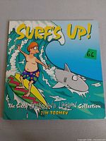 Front cover showing title, artwork and author