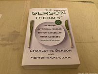 Front cover showing title, authors and design