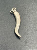 Front view of sterling silver cornicello pendant