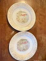 Front view of both plates showing gold border and central scene