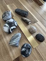 All eight specimens laid out beside brass 20 cm ruler