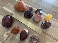 All twelve specimens arrayed beside 20 cm brass ruler