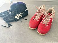 Both pairs side by side showing general appearance and color