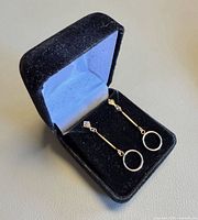 Pair of earrings in presentation box showing overall design