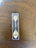 Full view of souvenir spoon inside clear case