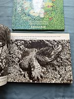 Color illustrated bunny book cover and portion of open animal photo book