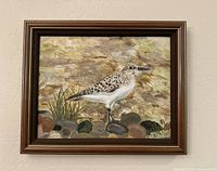 Full view of framed sandpiper artwork on wall
