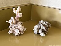 Two coral pieces on corner countertop
