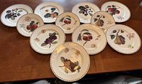 All eleven Queens RHS Hookers Fruit plates displayed