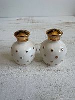 Front view of both shakers showing gold tops and polka dots