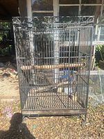 Full view of tall metal bird cage showing scroll top, bars, stand, perches and cups