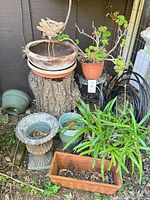Group of assorted garden pots, urn, metal bird and tree stump stand