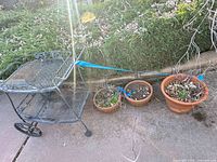 overall view of patio cart and three terracotta pots
