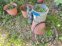 Multiple plastic planters, grey bowl planter on inverted pot, Buddhist statue, metal rings
