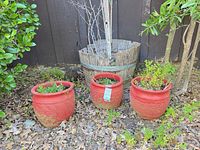 Three red clay pots and wooden barrel planter outdoors