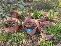 group of six terracotta plastic pots outdoors