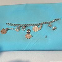 Full view bracelet with attached and loose charms