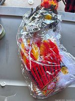 Headdress and breastplate sealed in plastic, feathers visible