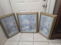 All three framed paintings side by side