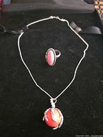 Ring and necklace on display surface