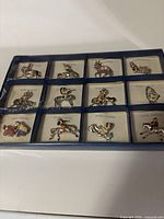 Full tray showing twelve pins on cards