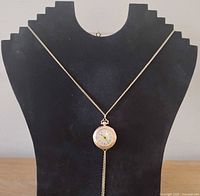 Watch suspended on necklace display stand