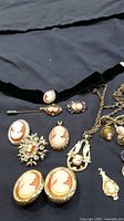 Group view showing all cameo jewellery pieces on dark cloth