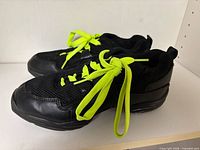 Full view of pair showing overall appearance