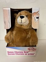 Front view of plush bear in Charmin box