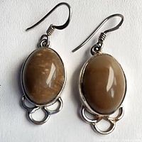 Front view of both agate sterling silver earrings
